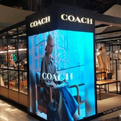 Coach Maya Chiang Mai