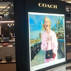 Coach Maya Chiang Mai